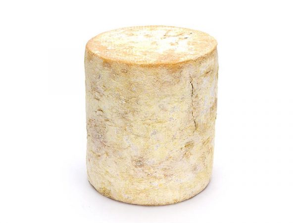 Bassadoro CaseificioAngeloCroce Gorgonzola Malghesino formaggio erborinato pasta molle scartato 4