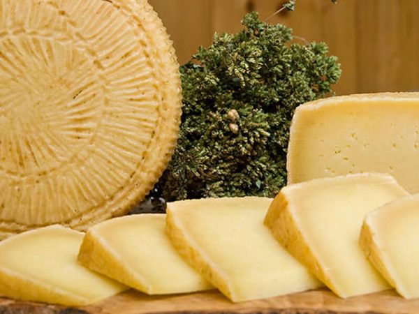 Bassadoro CaseificioAngeloCroce Pecorino formaggio 4